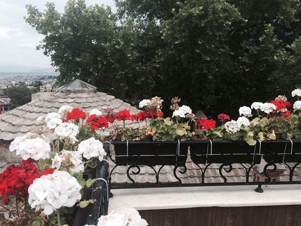 Tala Boutique Hotel บูร์ซา ภายนอก รูปภาพ